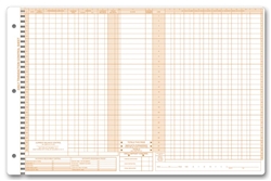 Peg Master Daily Control Sheets Histacount
