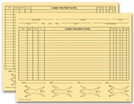 Vet Animal History Exam Record, 2 Sided, Card File Fold