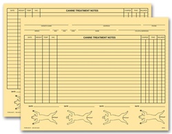 Vet Animal History Exam Record, 2 Sided, Card File Fold