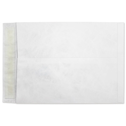 10 x 13 Tyvek Envelope