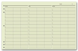 <!031>Timescan Appointment Sheets 3 Col 15 Min