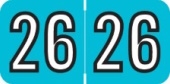 Year Label