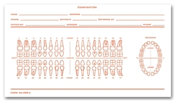 Histacount Dental Exam Record Slips