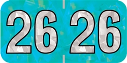 Year Label