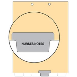 Nurses Notes