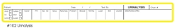 Urinalysis Lab Report