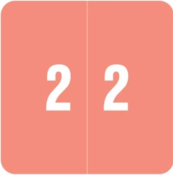 Numeric Label