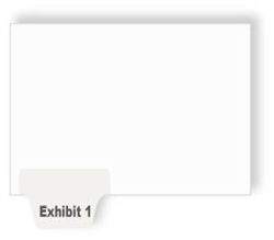 1-100 Individual Exhibit Numbers (Avery Style)