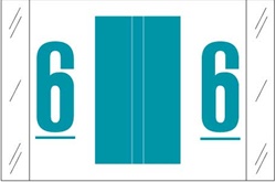Numeric Label